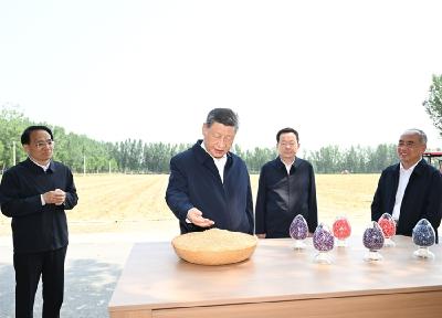 习近平在山东德州考察 