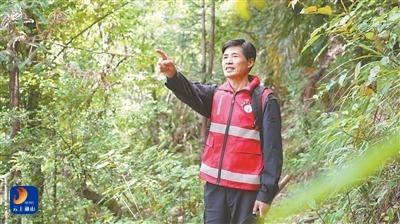 V视丨湖北好人刘炳生：四十年守护九万亩林海
