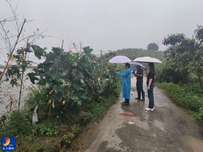 大畈镇：全力筑牢连续强降雨天气防汛安全屏障