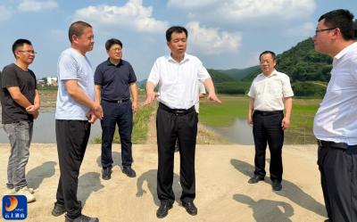 吴涛赴南林桥镇调研高标准农田建设暨乡镇重点工作