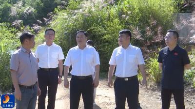 V视丨县领导赴燕厦乡调研指导树立和践行正确政绩观学习教育  并督导乡镇重点工作