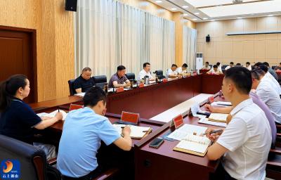 V视丨吴涛主持召开未成年人安全保护工作推进会议