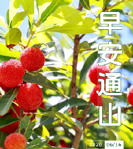 早安通山（2026年6月16日）