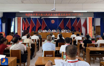 民生实事“由民做主”——杨芳林乡人大代表票决民生实事