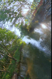 【飞“悦”通山⑨】清水一镜，解锁鄂东南盛夏凉感