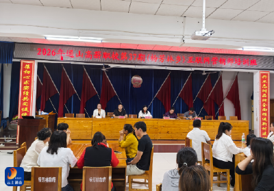 杨芳林乡：数字赋能巾帼创业 直播点亮增收之路