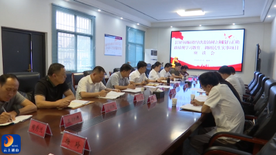 V视丨县领导调研洪港镇树立和践行正确政绩观学习教育工作