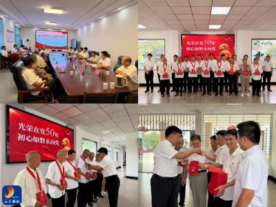 洪港镇举行“光荣在党50年”纪念章 颁发活动庆祝建党105周年 
