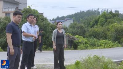 县领导督导通羊镇高标准农田建设情况