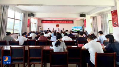 洪港镇召开农村集体“三资”管理及高标准农田建设重点工作推进会