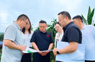 王功辉调研城乡公交一体化及核电路地块发展工作