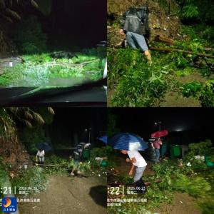 洪港镇盘田村：连夜抢险清障 守护群众通行安全