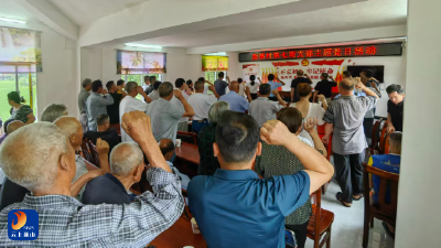 南林桥镇：开展 “七一” 主题党日活动 重温誓词守初心 奖章闪耀传使命