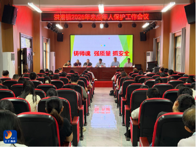深耕育人沃土 筑牢守护屏障——洪港镇多维赋能，推进教育提质与未成年人保护工作走深走实