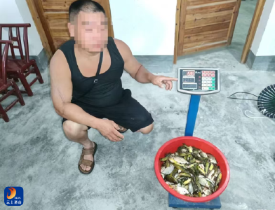 通山县农业综合执法大队：查获全县首例潜水式水下非法电鱼案
