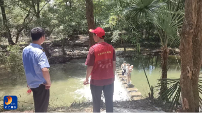 南林桥镇：志愿力量筑防线  防汛防台护平安