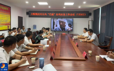 大畈镇：严阵以待防台风