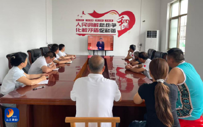 九宫山镇南成村：集中观看建党105周年大会，汲取奋进力量