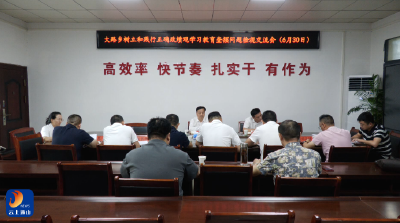 V视丨县领导开展“七一”走访慰问并下沉乡镇指导树立和践行正确政绩观学习教育查摆问题检视交流会