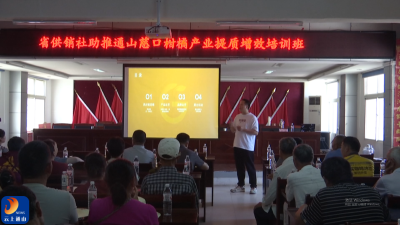 V视丨省供销社送技到田 慈口柑橘产业提质增效