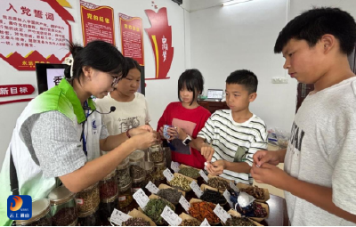 携一缕岐黄书香 赴一村烟火南成  ——长职依托“百校千馆”中医药资源赴九宫山镇南成村开展三下乡志愿服务