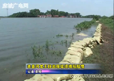 老县河龙王段出现堤坝塌陷险情