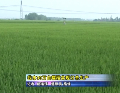 应城市30万亩糯稻实现订单生产