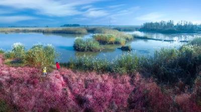 孝感湿地——古泽遗珠老观湖