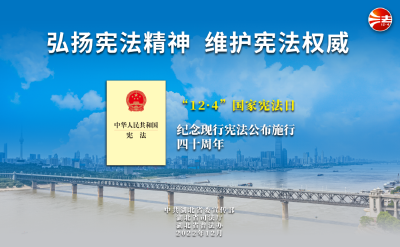 2022年湖北省“宪法宣传周”海报挂图来啦！
