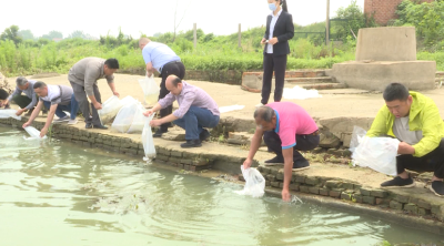 增殖放流：促进人与自然和谐共生