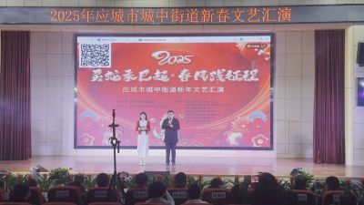 欢歌笑语辞旧岁 应城市城中街道2025年新年文艺汇演 年味满满