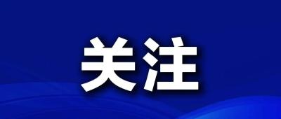 吴庆华到应城市调研