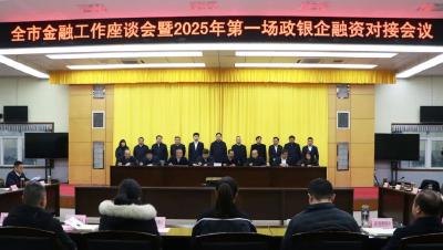 应城市2025年金融工作座谈会暨第一场政银企融资对接会召开 现场达成53亿元融资协议