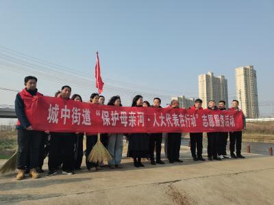 应城市城中街道第一人大代表联络站开展“保护母亲河  人大代表在行动”志愿活动