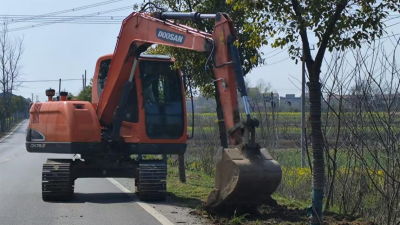 应城市栽植6万株栀子花助力“万树村”建设