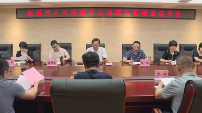 应城市人大常委会对市人民检察院未成年人保护议题开展调查