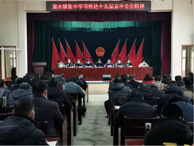 洑水镇开展党的十九届五中全会精神宣讲