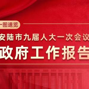 【聚焦两会】一图读懂 | 安陆市九届人大一次会议政府工作报告