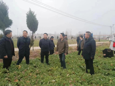 人勤春耕忙 田管正当时
