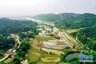 安陆＂路长制十旅游＂，打造域内最美风景线