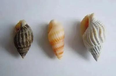 千万别吃！​一颗就可能致命