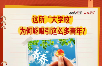 天天学习｜这所“大学校”为何能吸引这么多青年？