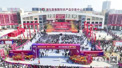央媒聚焦：首衡城·华中国际食品产业新城启动运营