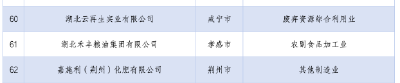 安陆民营企业再入省级百强