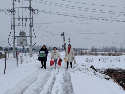 安陆市李店镇妇联： 无惧风雪 为困难妇女的冬日“加温”