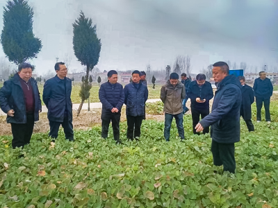 安陆雷公镇：抢抓农时 下好春耕备耕“先手棋”