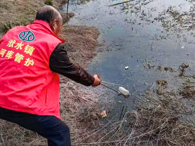 安陆市洑水镇：清理河道垃圾 保护水域环境
