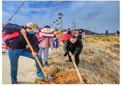 安陆市孛畈镇：义务植树为荒山添新绿