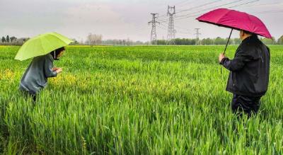 “小贺”：风里雨里，只为农户增产增收