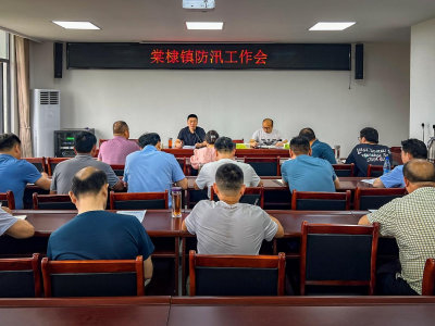 安陆市棠棣镇：未雨绸缪“绷紧弦” 筑牢防汛“安全堤”
